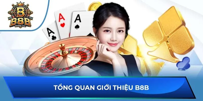 Tổng quan giới thiệu B8B