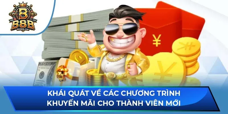 Khái quát về các chương trình khuyến mãi cho thành viên mới