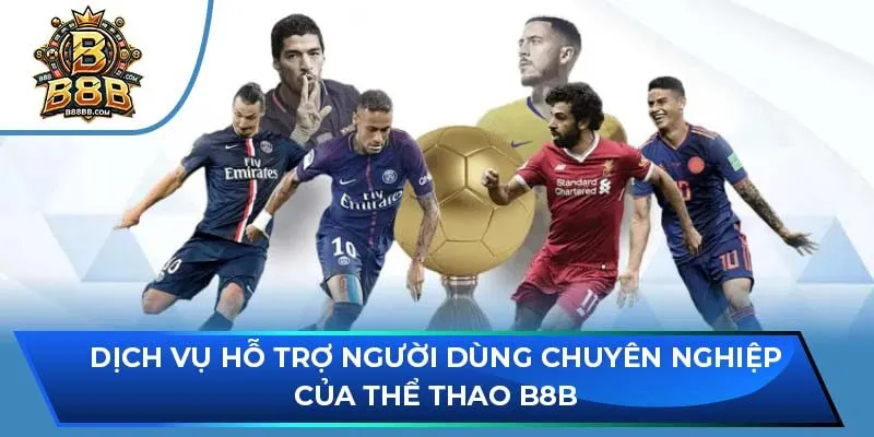 Dịch vụ hỗ trợ người dùng chuyên nghiệp của thể thao B8B